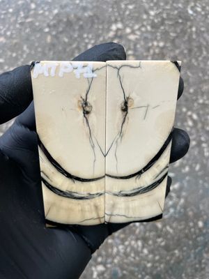 stabilized mammoth tusk knife scales pocket knife pair fossil material MTP71