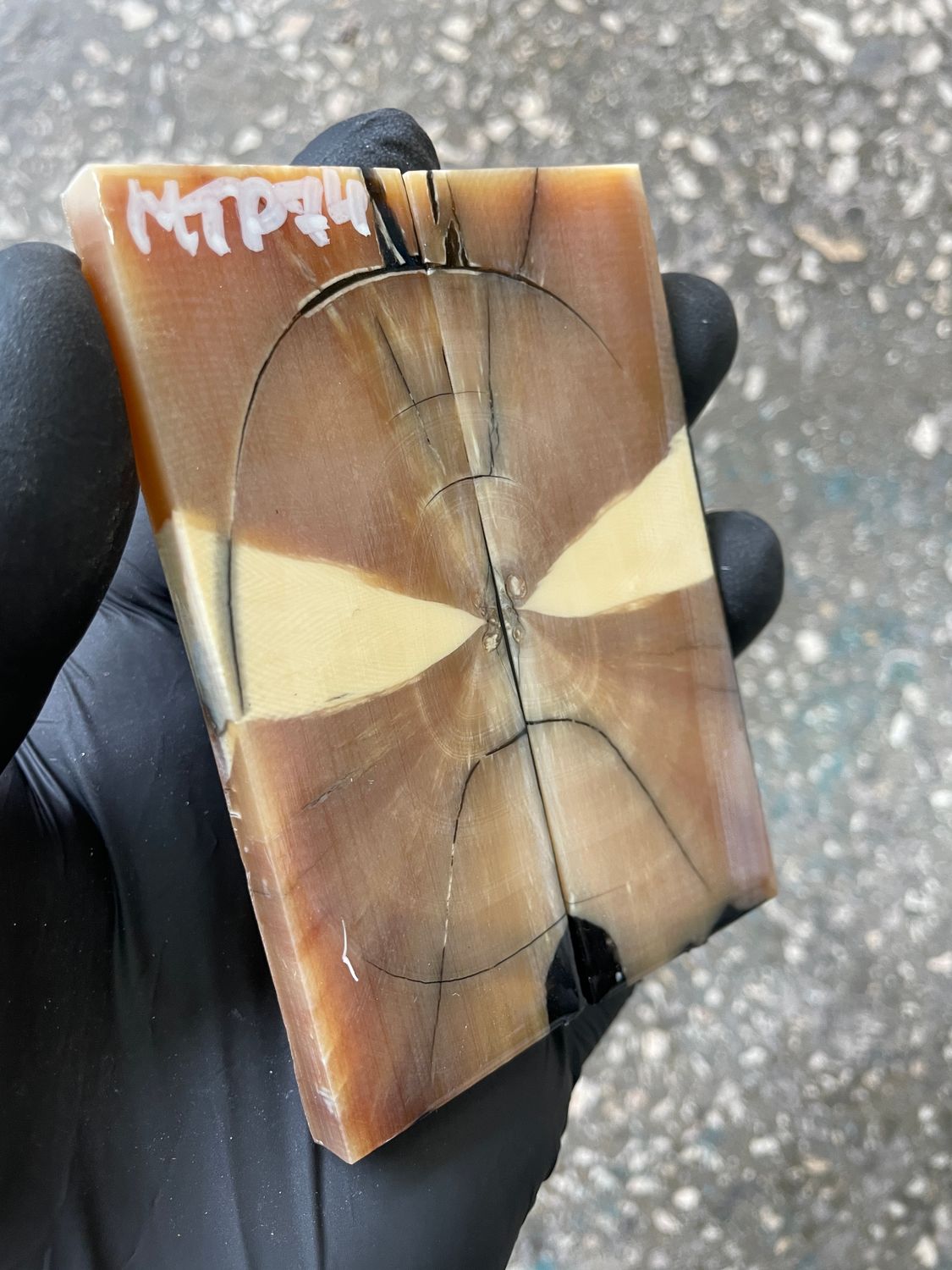 mammoth tusk scales for pocket knife handle stabilized ivory pair unique pattern