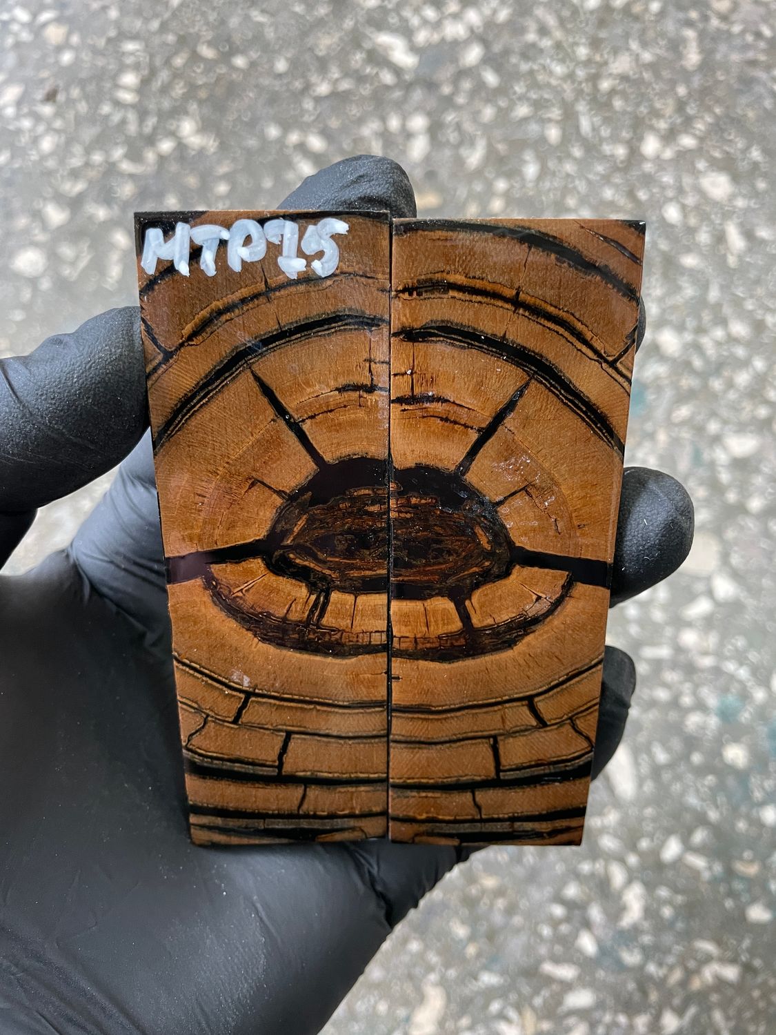 Mammoth tusk scales 3.81-1.33-0.31 inch MTP75