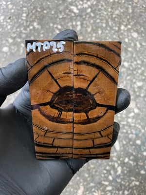 stabilized mammoth tusk knife scales pocket knife pair fossil material MTP75