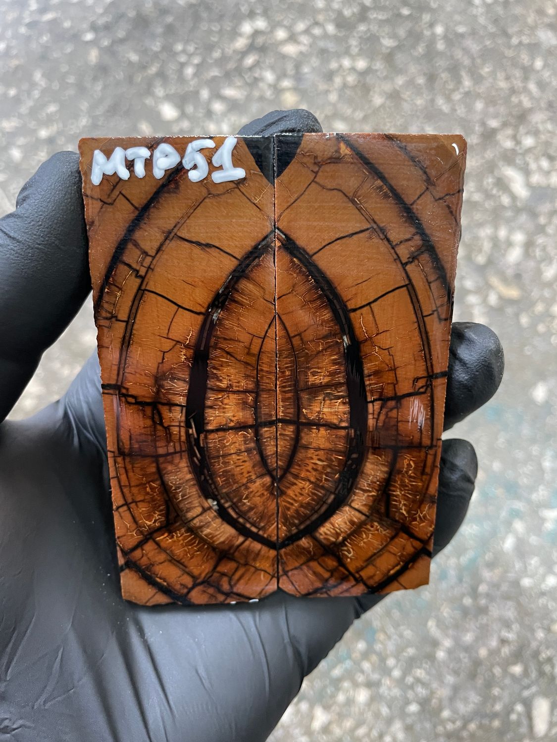 Mammoth tusk scales 3.70-1.29-0.27 inch MTP51