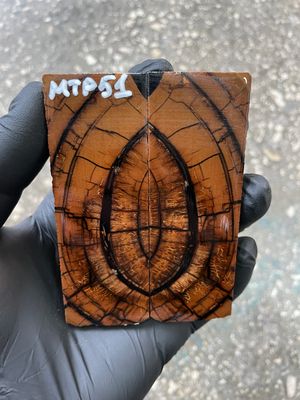 stabilized mammoth tusk knife scales pocket knife pair fossil material MTP51