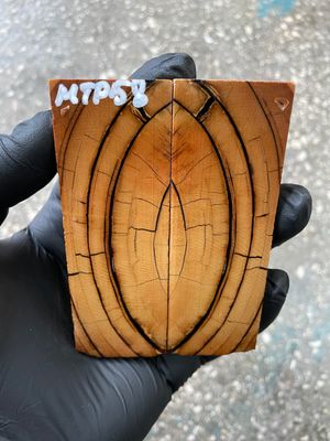 stabilized mammoth tusk knife scales pocket knife pair fossil material MTP58