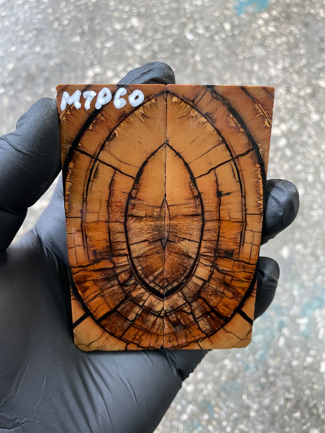 Mammoth tusk scales 3.81-1.33-0.27 inch MTP60