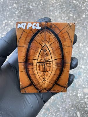 stabilized mammoth tusk knife scales pocket knife pair fossil material MTP62