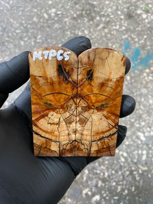 stabilized mammoth tusk knife scales pocket knife pair fossil material MTP65