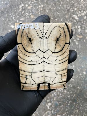 stabilized mammoth tusk knife scales pocket knife pair fossil material MTP73