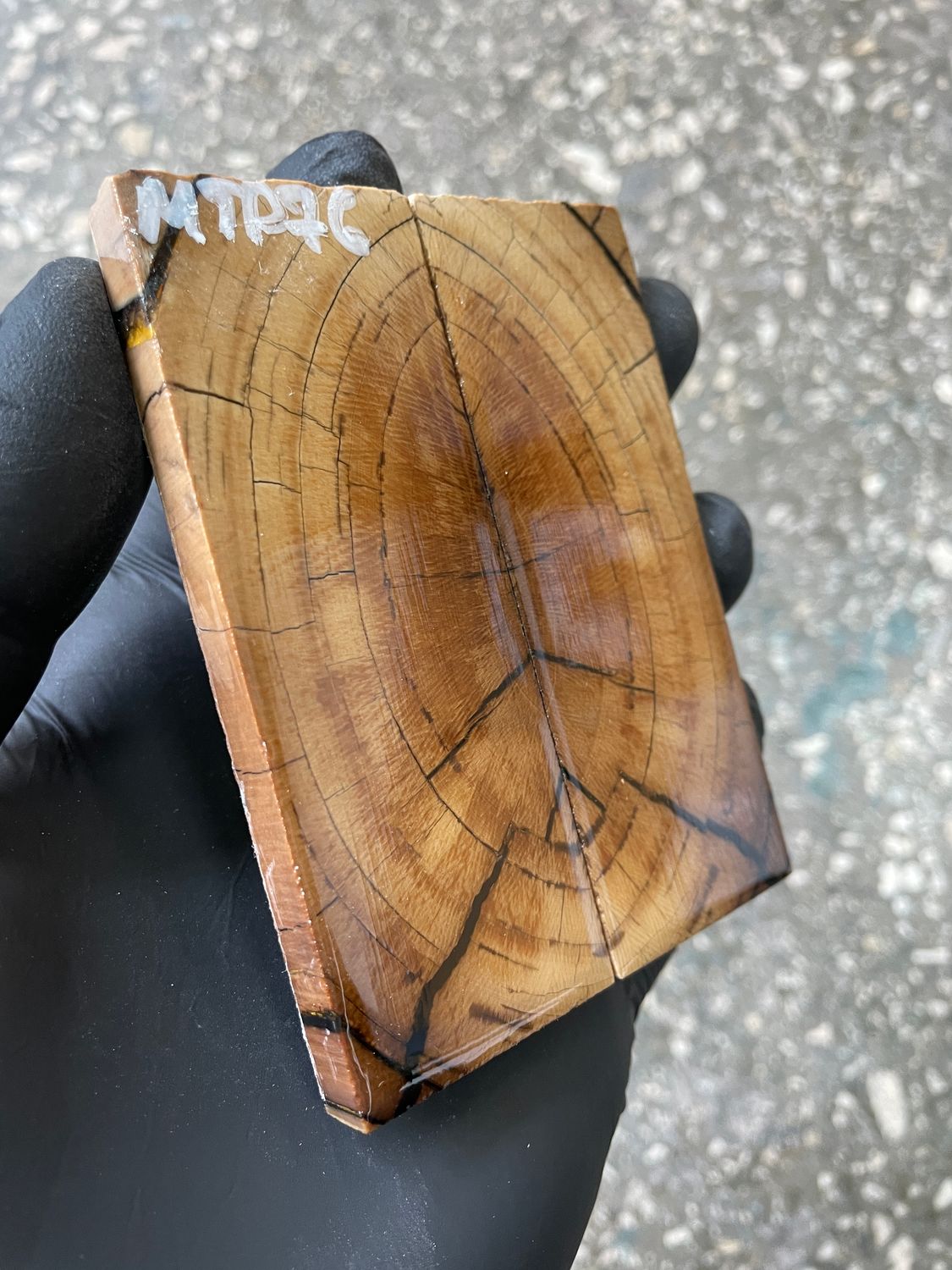 mammoth tusk scales for pocket knife handle stabilized ivory pair unique pattern
