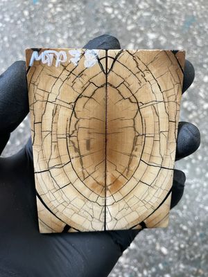 stabilized mammoth tusk knife scales pocket knife pair fossil material MTP78