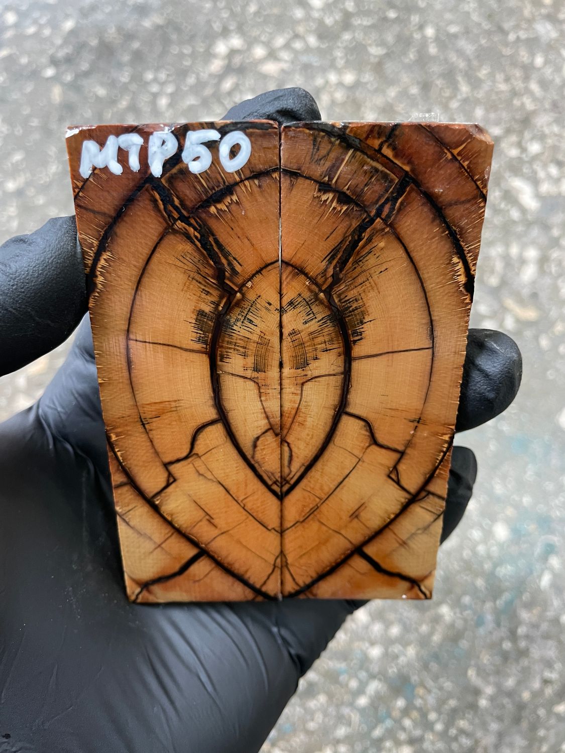 Mammoth tusk scales 3.81-1.29-0.27 inch MTP50