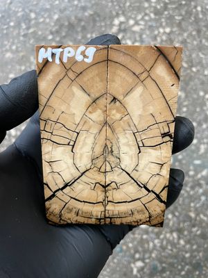 stabilized mammoth tusk knife scales pocket knife pair fossil material MTP69