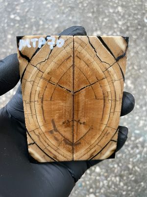 stabilized mammoth tusk knife scales pocket knife pair fossil material MTP70