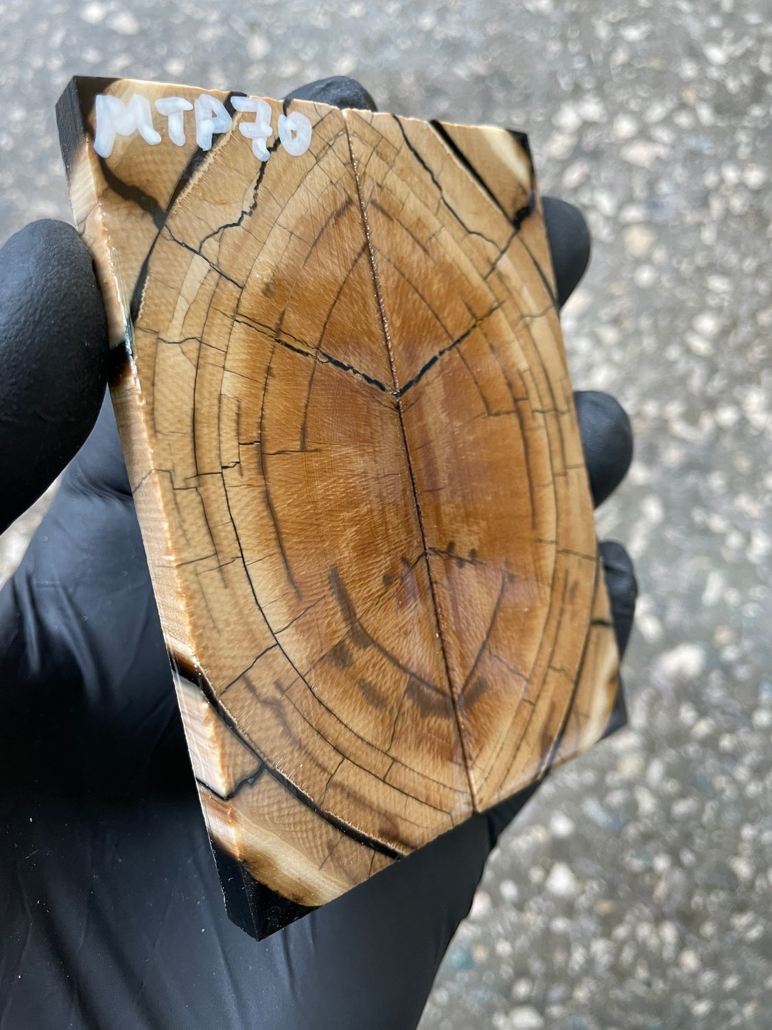mammoth tusk scales for pocket knife handle stabilized ivory pair unique pattern