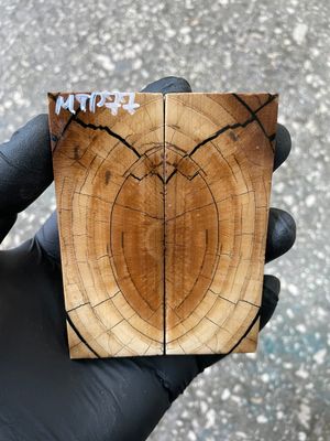 stabilized mammoth tusk knife scales pocket knife pair fossil material MTP77