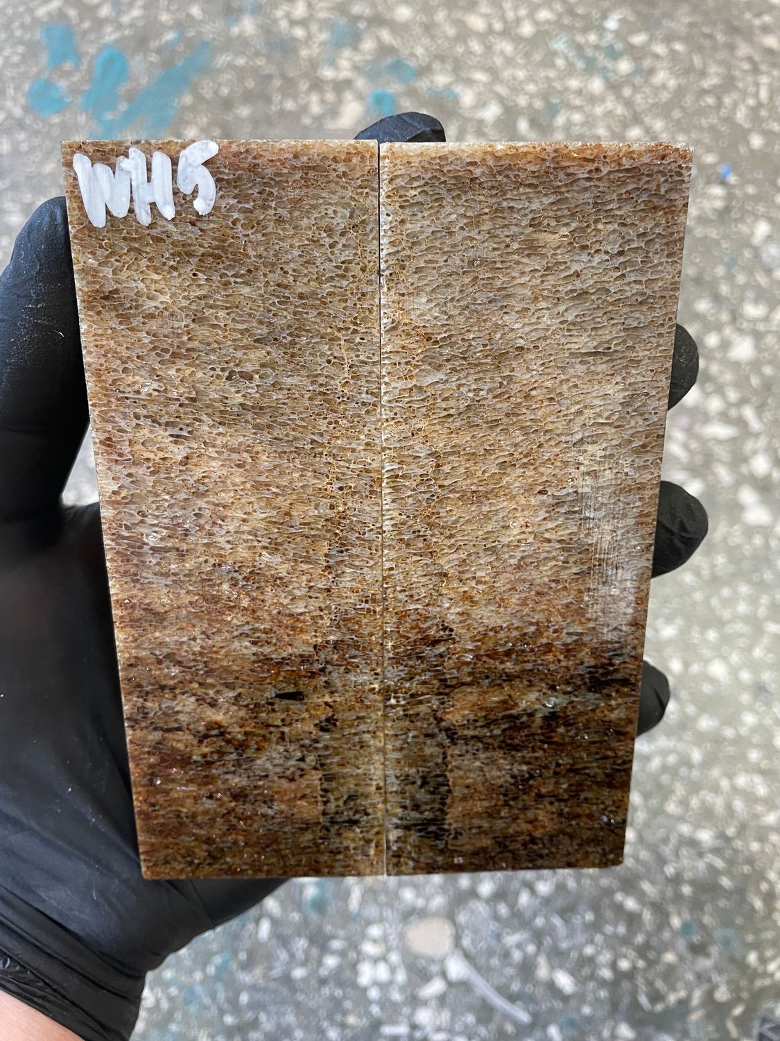 stabilized whale vertebra knife scales pair fossil handle material 5.27 inch WH5