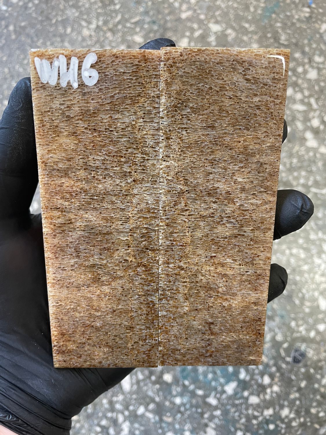 stabilized whale vertebra knife scales pair fossil handle material 5.19 inch WH6