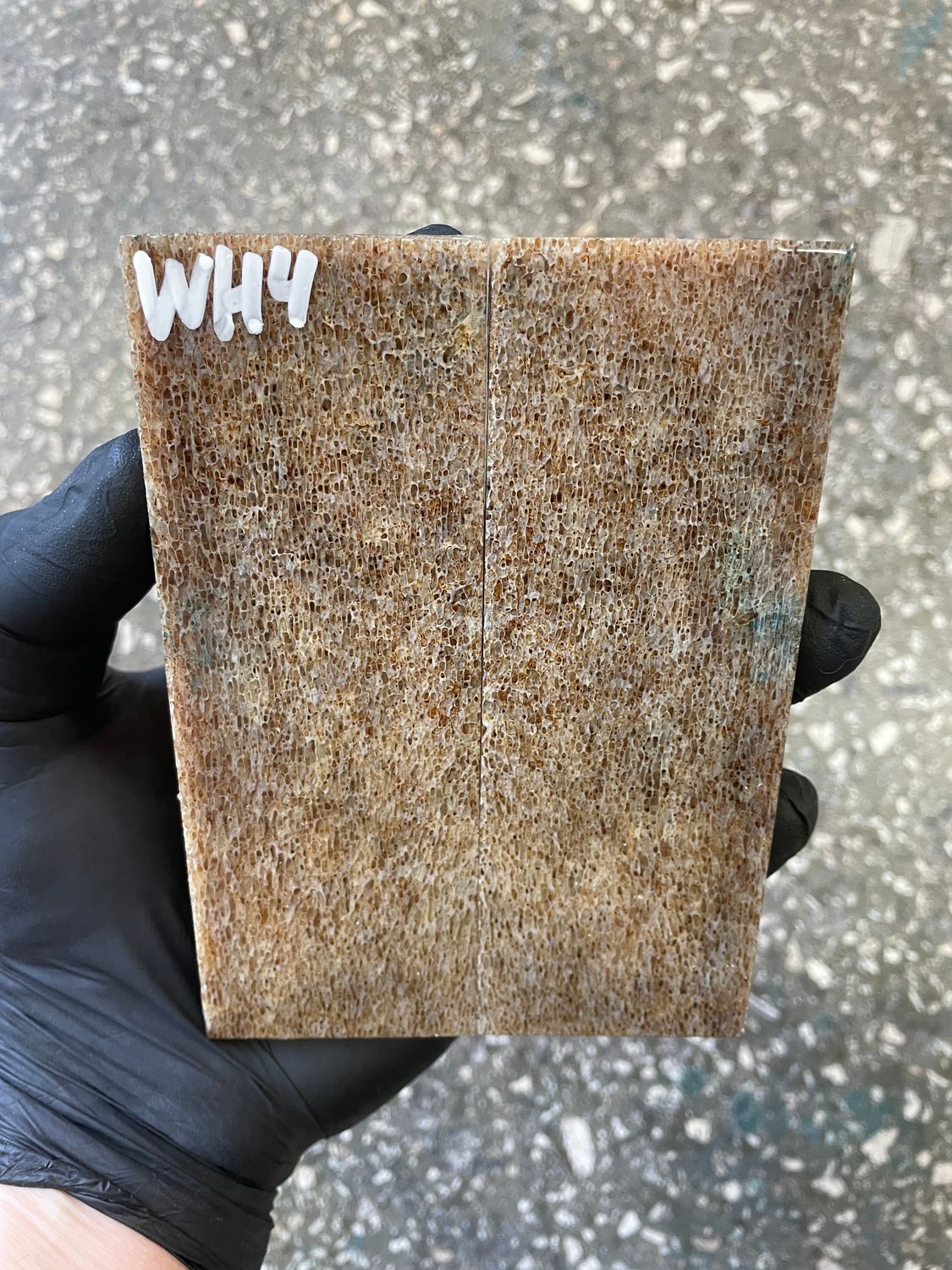 stabilized whale vertebra knife scales pair fossil handle material 5.15 inch WH4