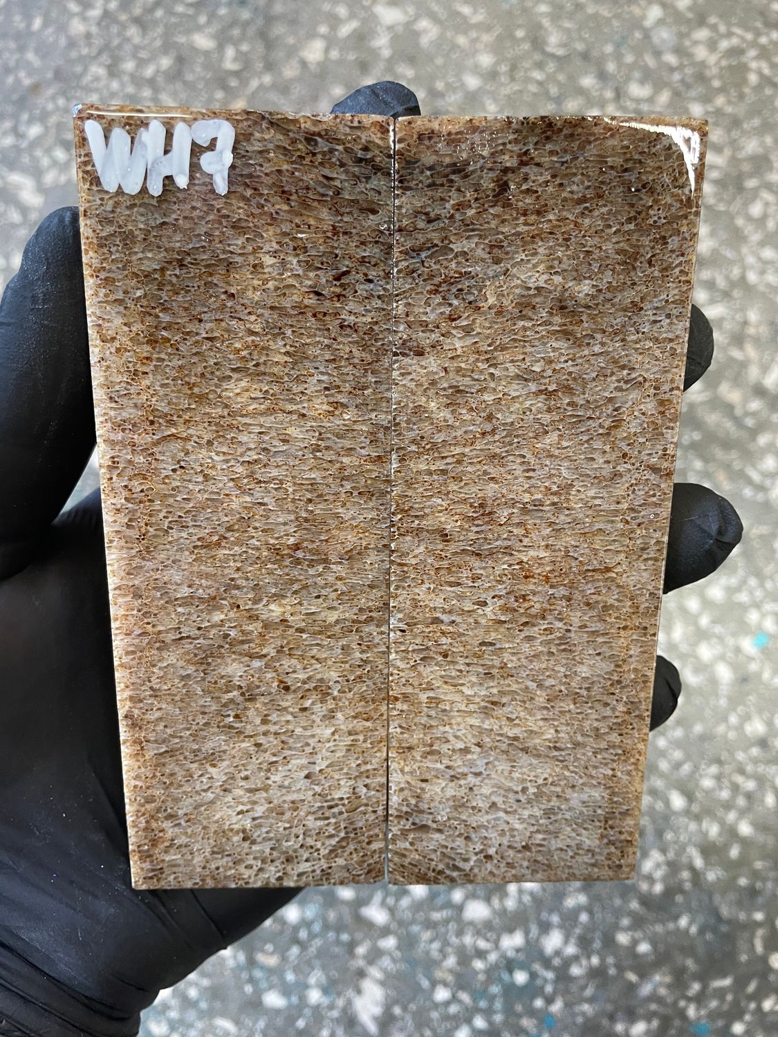 stabilized whale vertebra knife scales pair fossil handle material 5.23 inch WH7