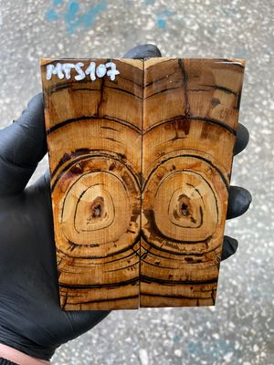 stabilized mammoth tusk knife scales pair fossil handle material MTS107