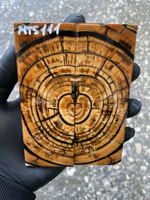 stabilized mammoth tusk knife scales pair fossil handle material MTS111