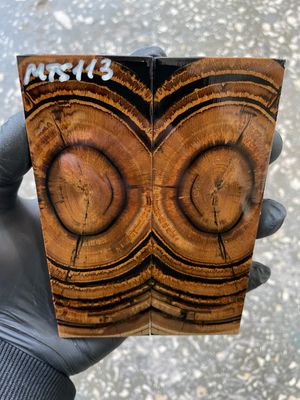 stabilized mammoth tusk knife scales pair fossil handle material MTS113