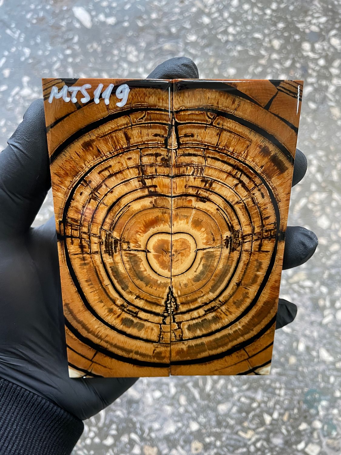 stabilized mammoth tusk knife scales pair fossil handle material MTS119