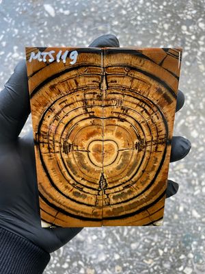 stabilized mammoth tusk knife scales pair fossil handle material MTS119