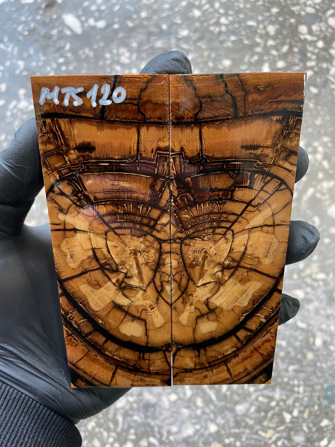 stabilized mammoth tusk knife scales pair fossil handle material MTS120