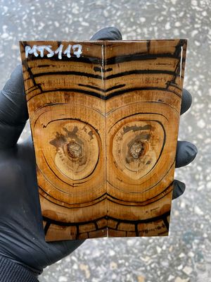 stabilized mammoth tusk knife scales pair fossil handle material MTS117