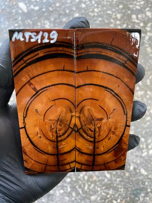 stabilized mammoth tusk knife scales pair fossil handle material MTS129