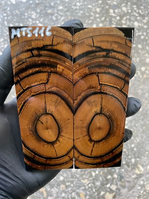 stabilized mammoth tusk knife scales pair fossil handle material MTS116