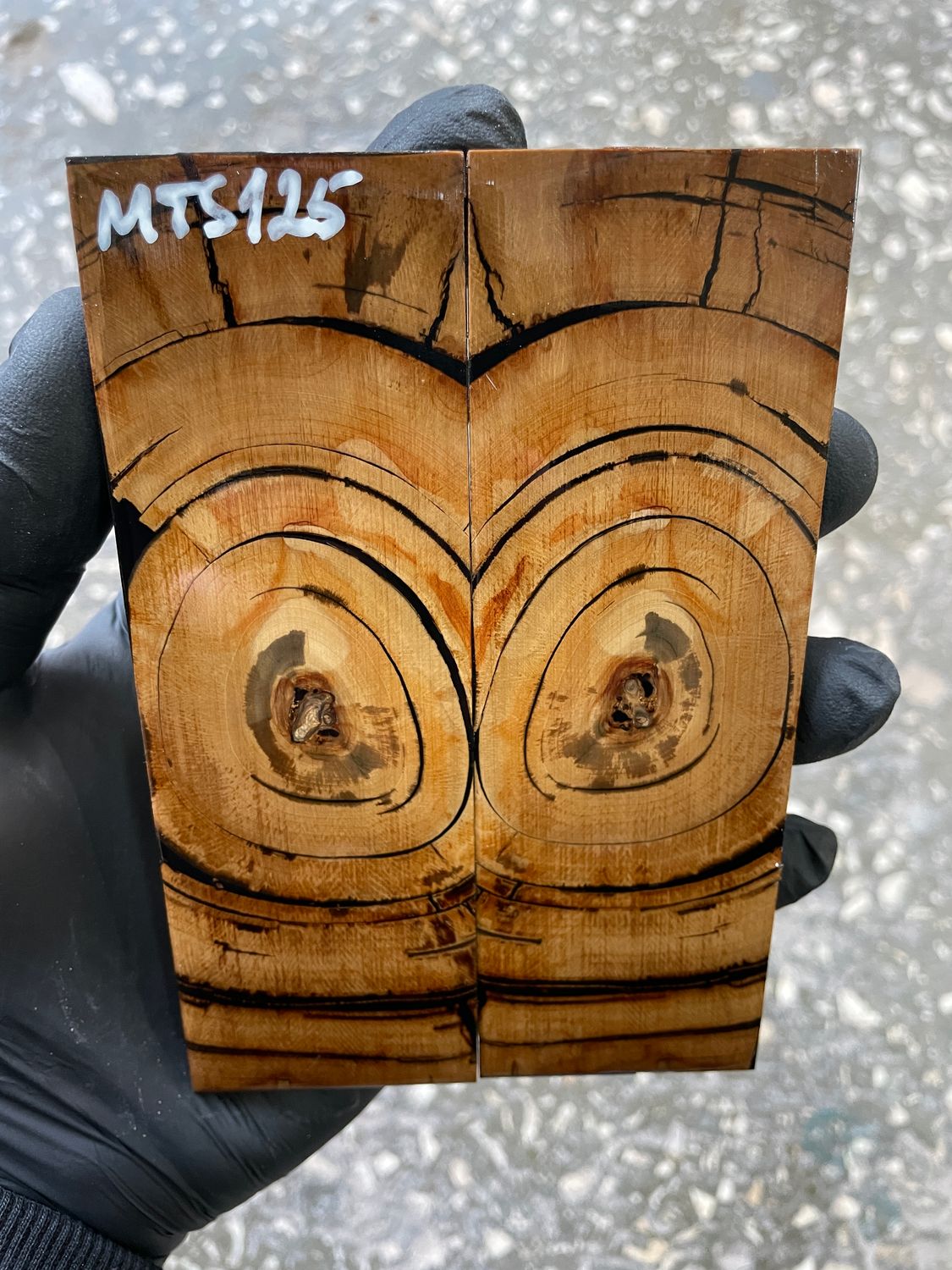 stabilized mammoth tusk knife scales pair fossil handle material MTS125