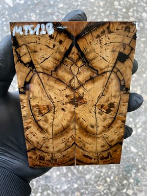 stabilized mammoth tusk knife scales pair fossil handle material MTS128