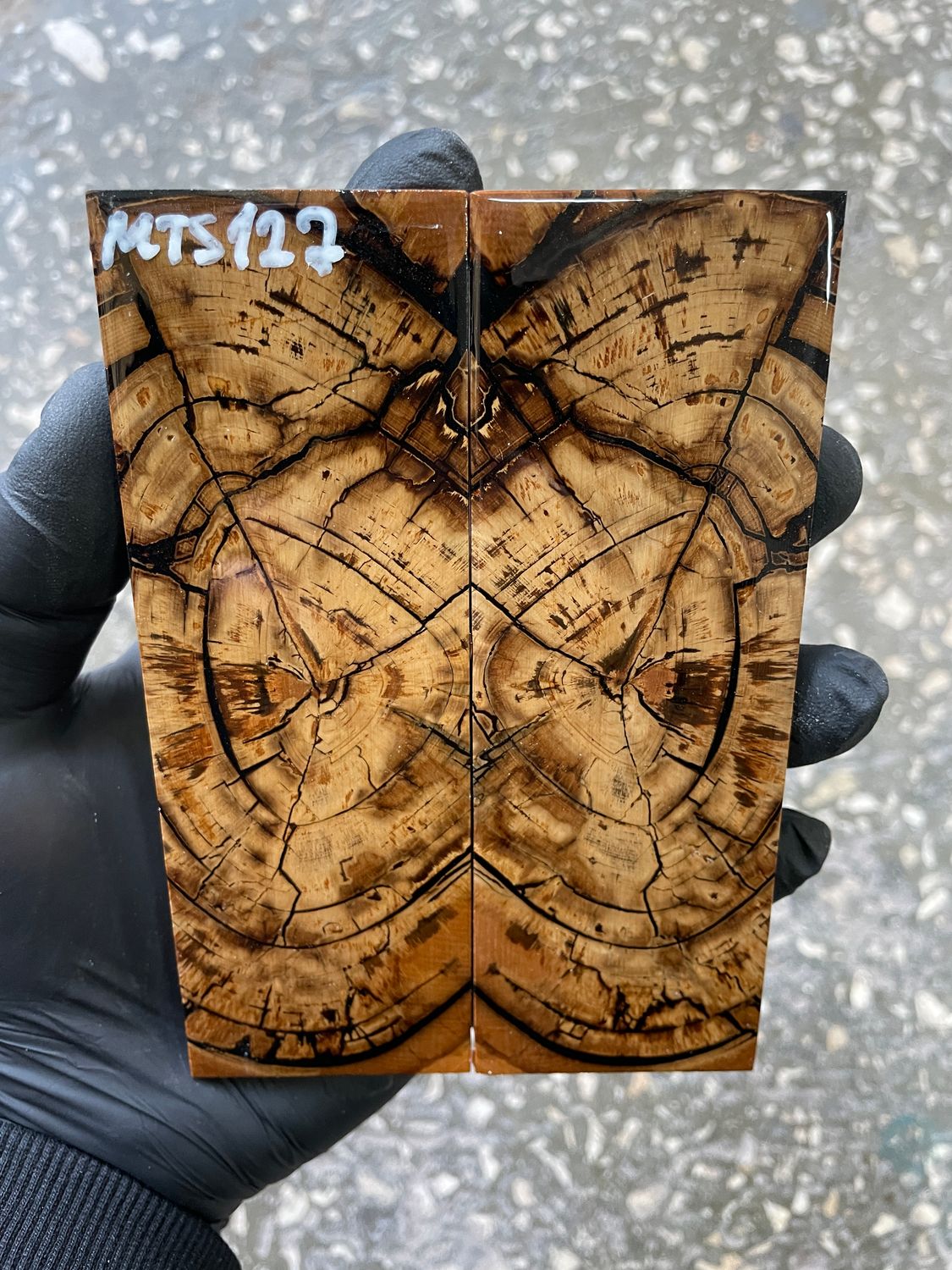 stabilized mammoth tusk knife scales pair fossil handle material MTS127