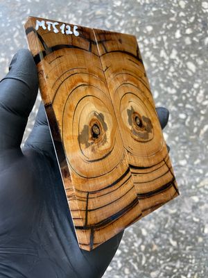 woolly mammoth tusk knife scales stabilized ivory pair for custom knife handle making