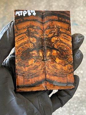 stabilized mammoth tusk knife scales pocket knife pair fossil material MTP87