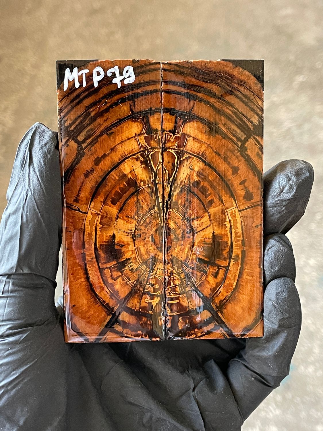 stabilized mammoth tusk knife scales pocket knife pair fossil material MTP79