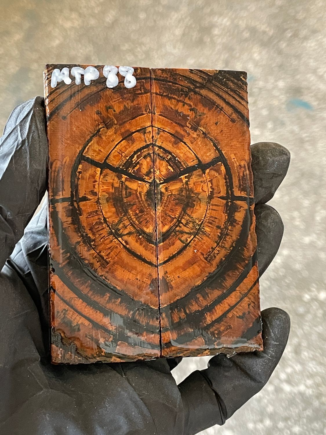 stabilized mammoth tusk knife scales pocket knife pair fossil material MTP88