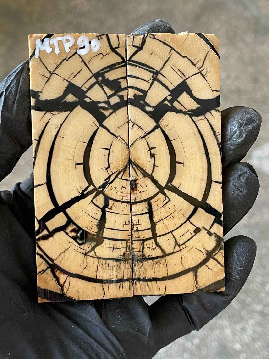 stabilized mammoth tusk knife scales pocket knife pair fossil material MTP90