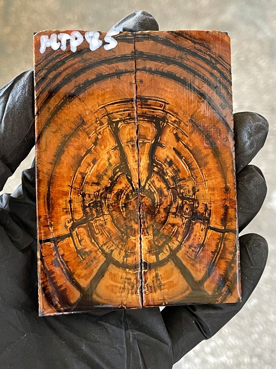 stabilized mammoth tusk knife scales pocket knife pair fossil material MTP85