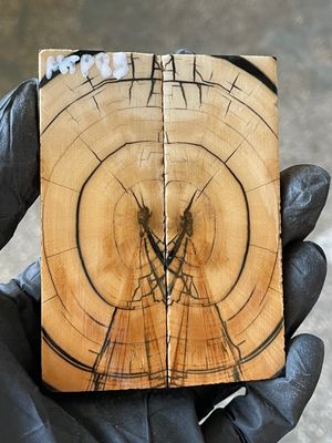 stabilized mammoth tusk knife scales pocket knife pair fossil material MTP89
