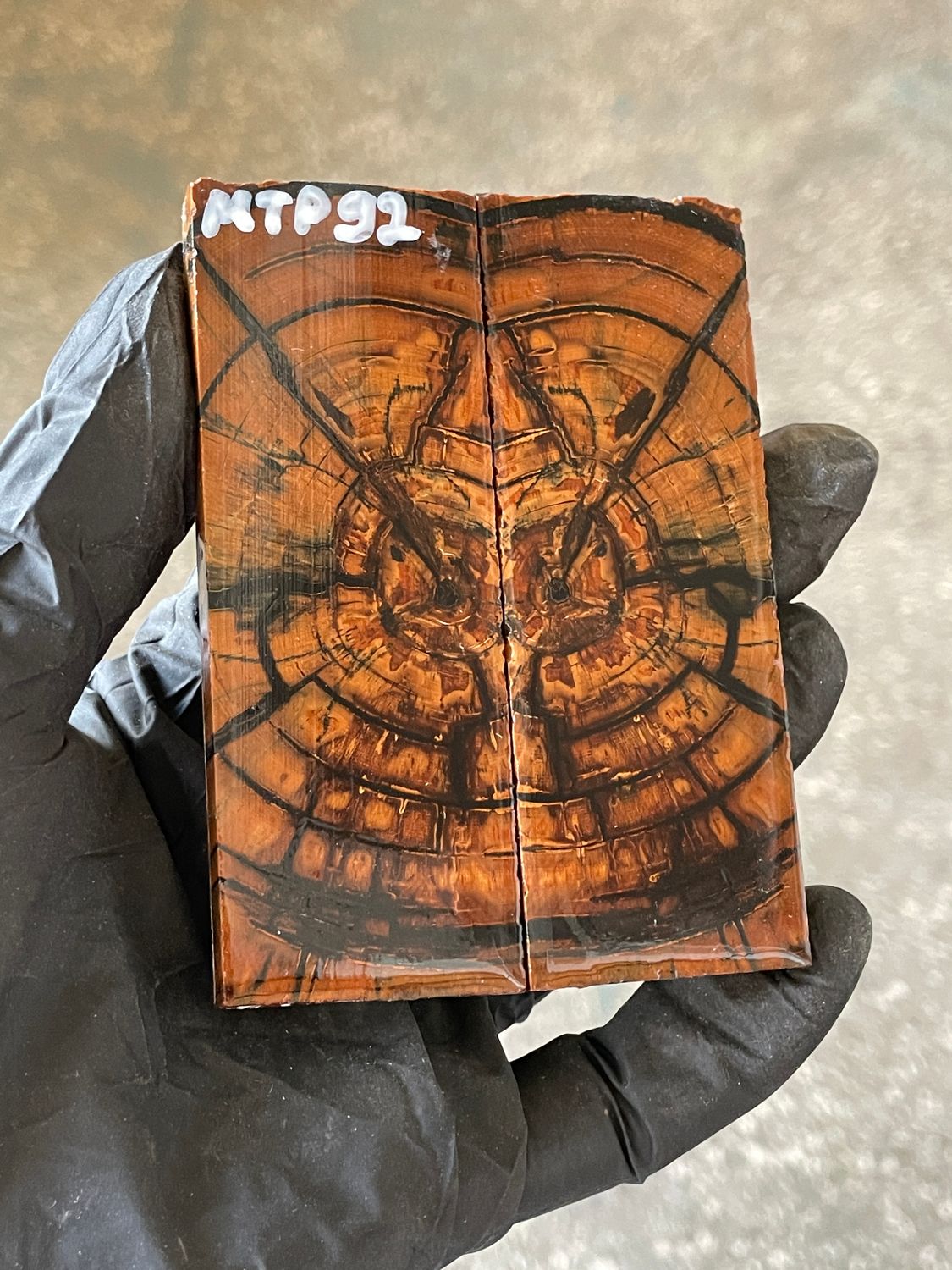 stabilized mammoth tusk knife scales pocket knife pair fossil material MTP92