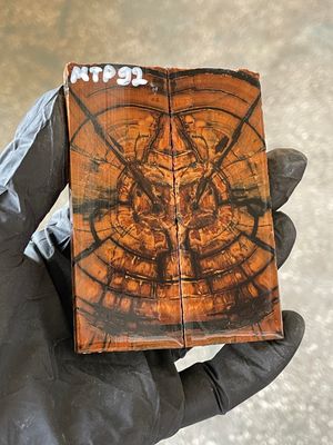 stabilized mammoth tusk knife scales pocket knife pair fossil material MTP92