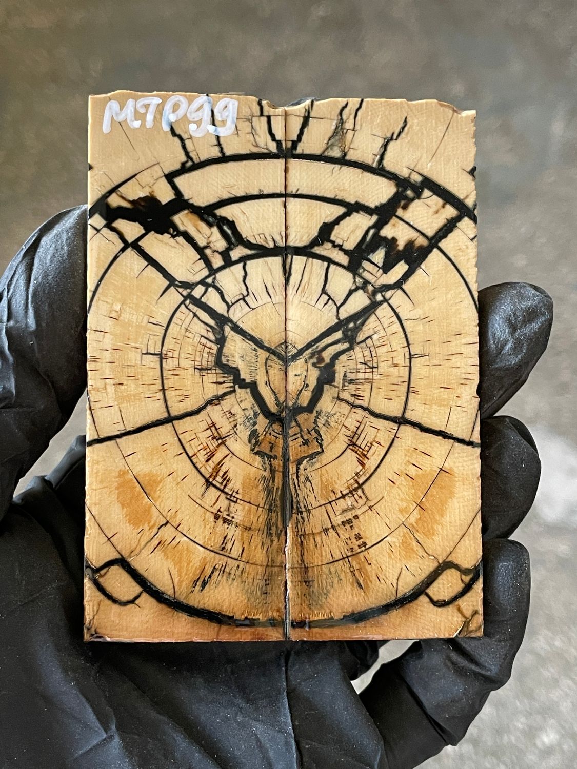 stabilized mammoth tusk knife scales pocket knife pair fossil material MTP99