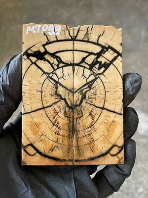 stabilized mammoth tusk knife scales pocket knife pair fossil material MTP99