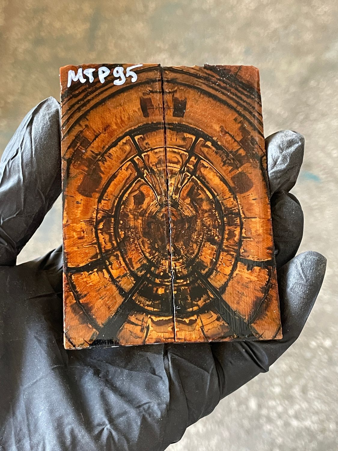 stabilized mammoth tusk knife scales pocket knife pair fossil material MTP95