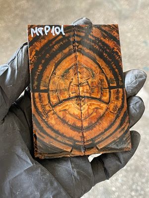 stabilized mammoth tusk knife scales pocket knife pair fossil material MTP101