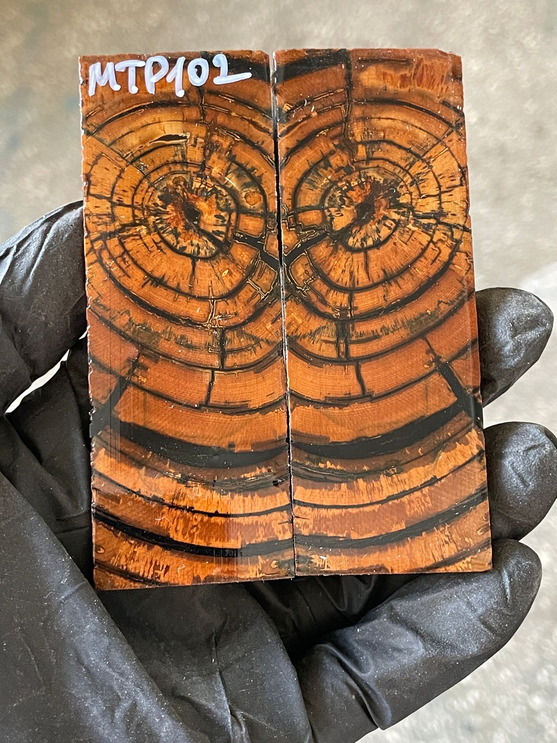 stabilized mammoth tusk knife scales pocket knife pair fossil material MTP102