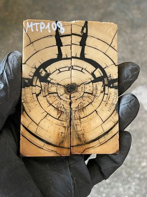 stabilized mammoth tusk knife scales pocket knife pair fossil material MTP108