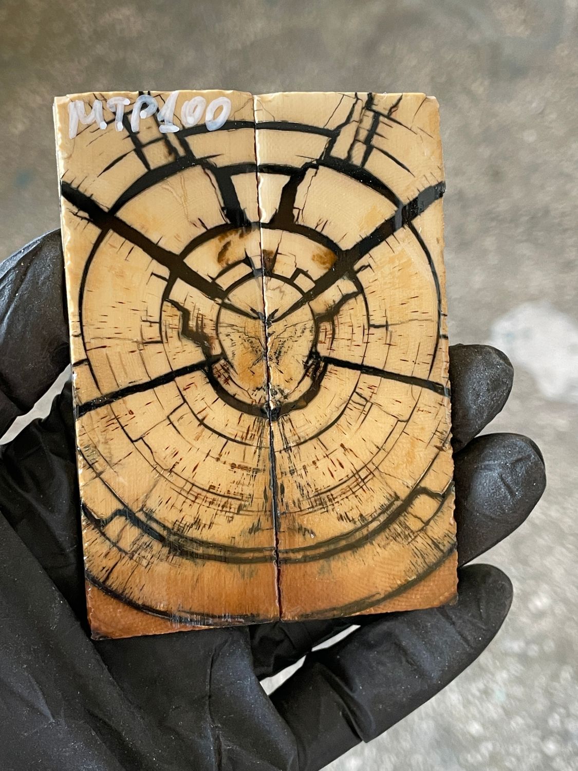 stabilized mammoth tusk knife scales pocket knife pair fossil material MTP100